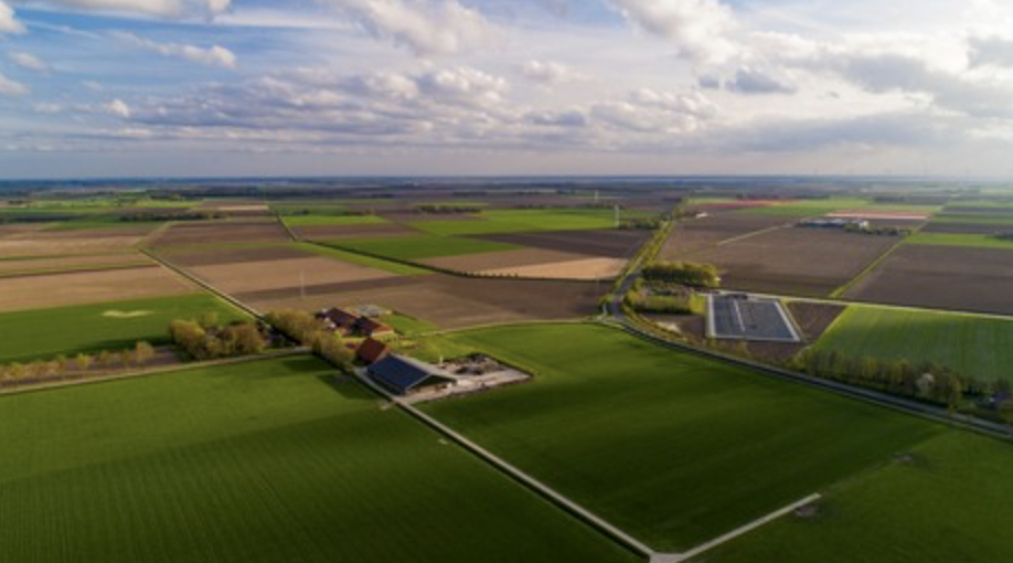 Hollandi põllumajandus