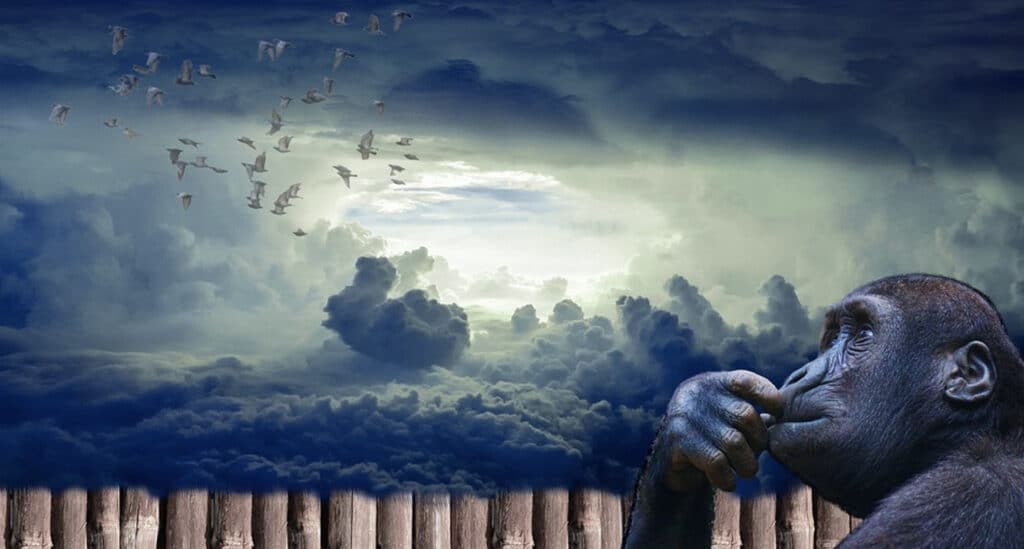 Paljastatud kaugmõjutamise saladused. 2. osa. Sulle on antud võime enda ja kogu maailma päästmiseks