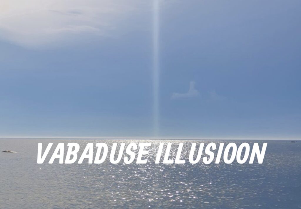 Poliitiline maatriks toetab vabaduse illusiooni