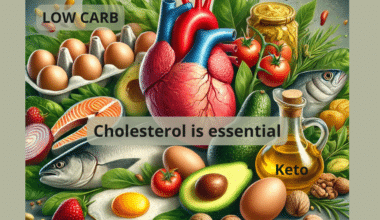 Cholesterol is Essential Low Carb keto diet by Annika Urm