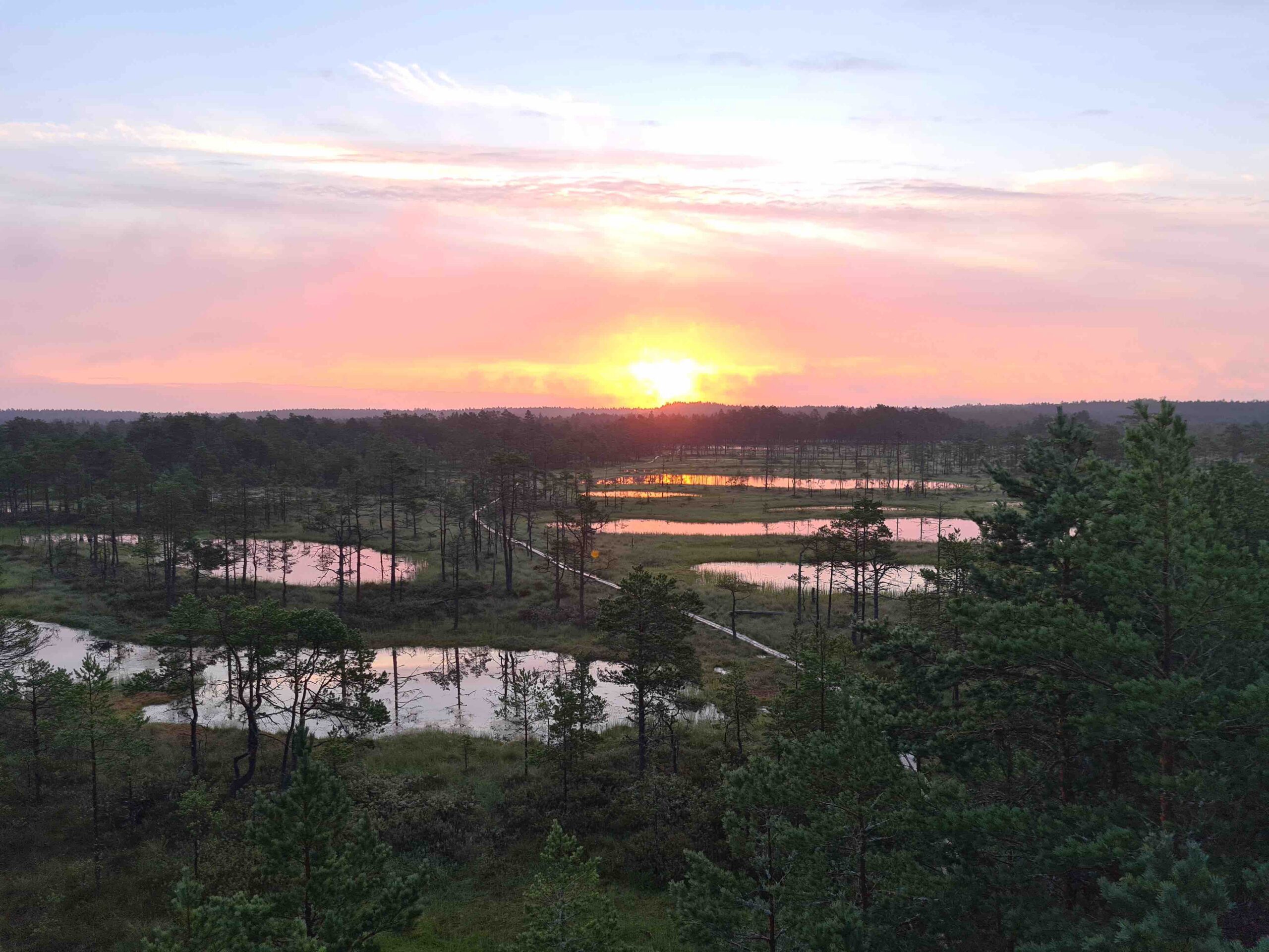 Viru Raba august 2025 - Eesti rahu ankur