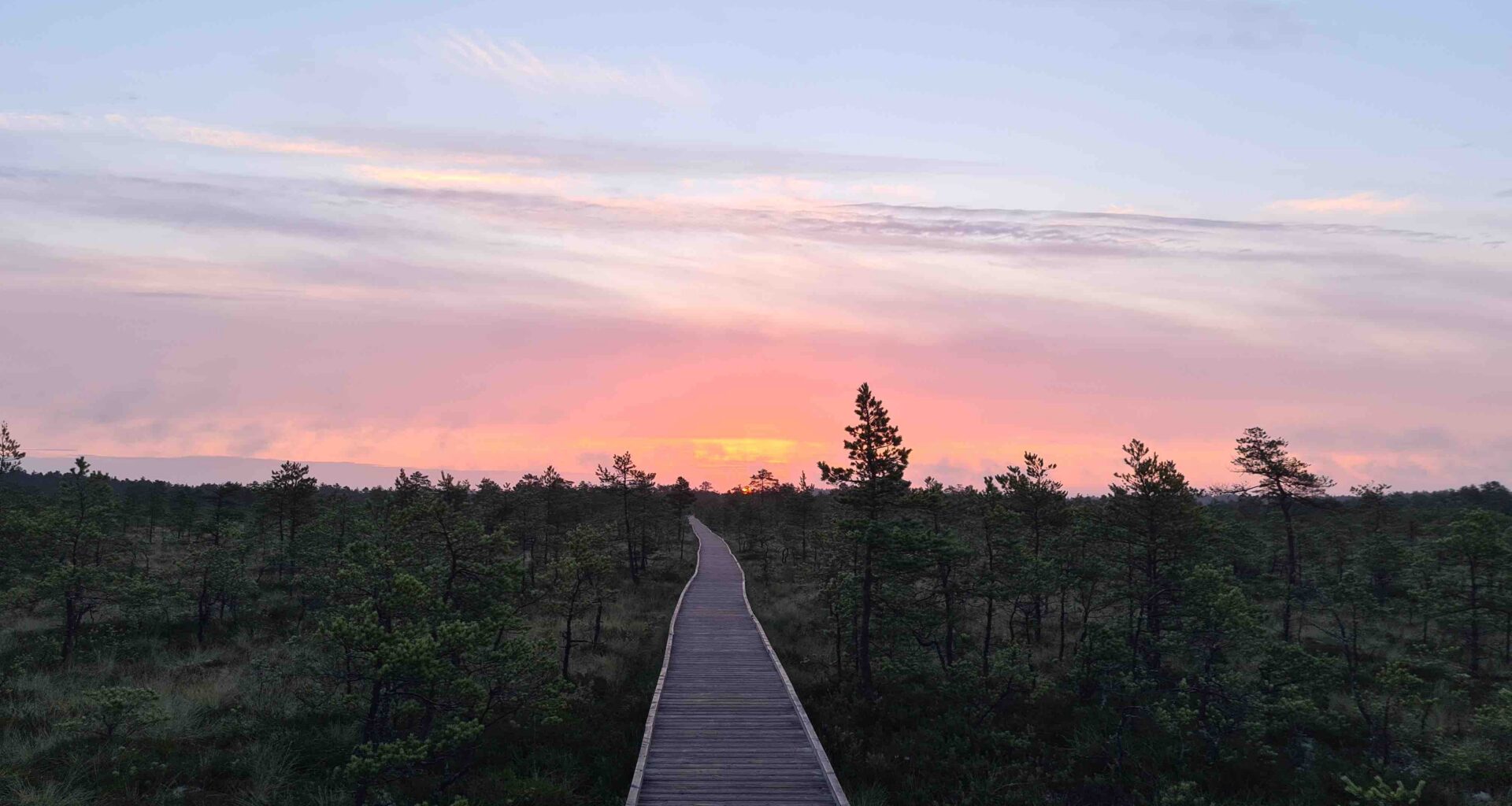 Viru raba august 2025. Tee valikute kaudu